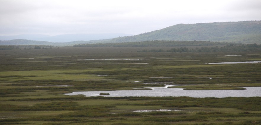 0198_Neiden_NORJA_240707