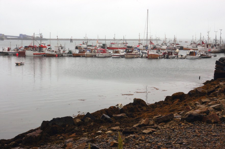 0298_Vadso_NORJA_240707