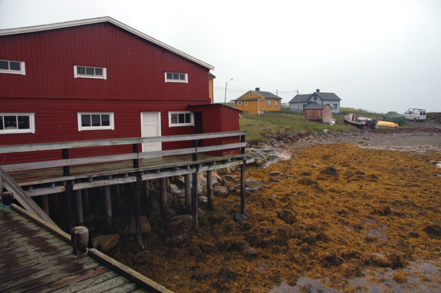 0314_Ekkeroy_NORJA_240707