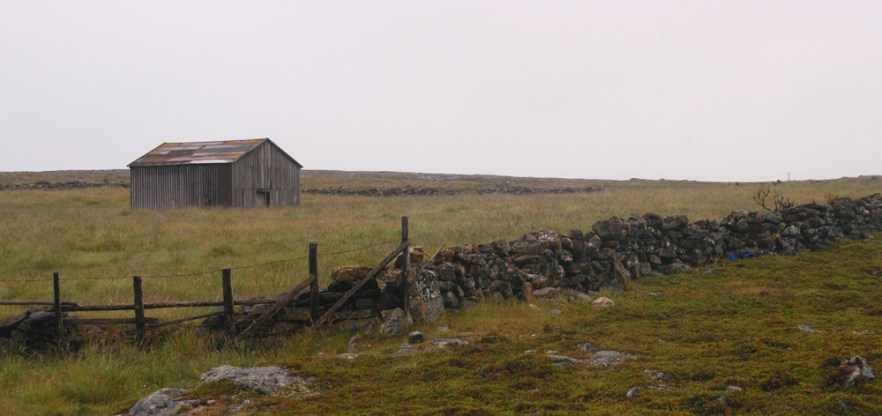 0335_Skallelv_NORJA_240707