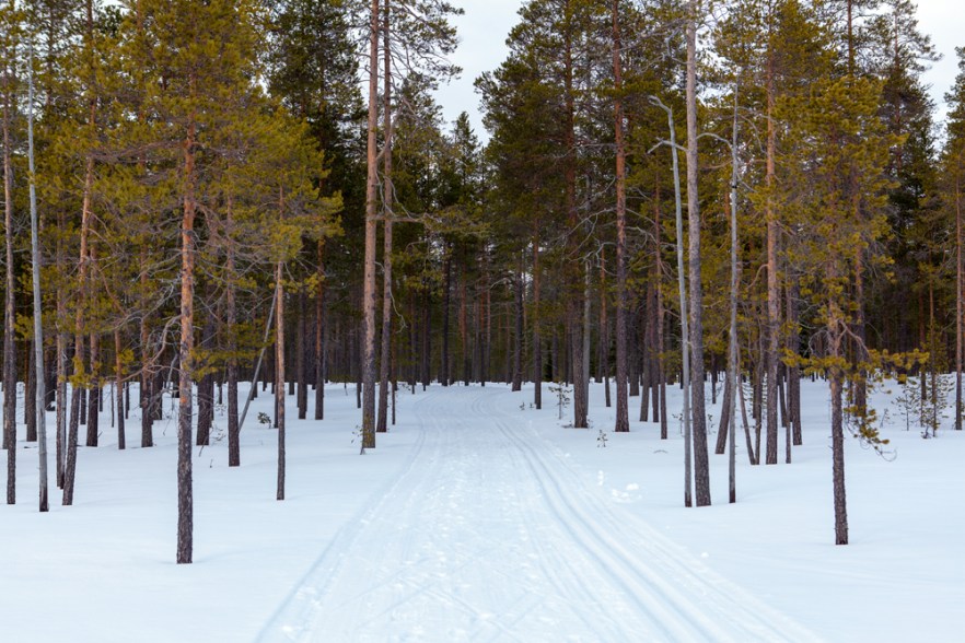 20150404_kylmaluo-147