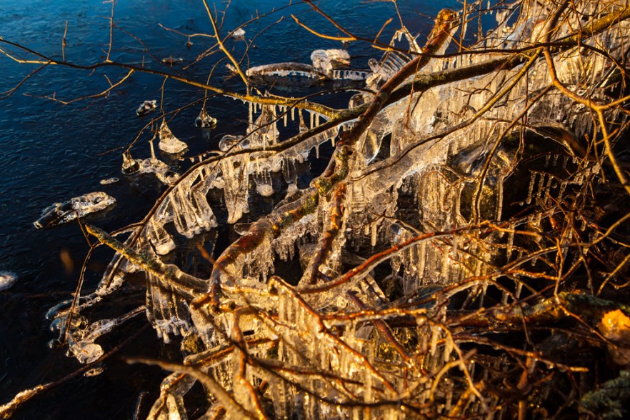 2015_12_MysyICE-1002