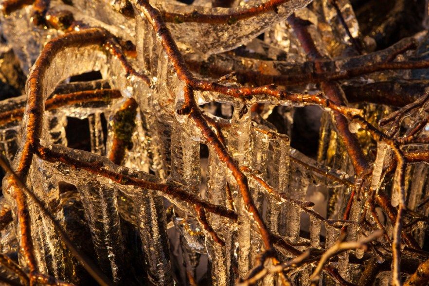 2015_12_MysyICE-1003