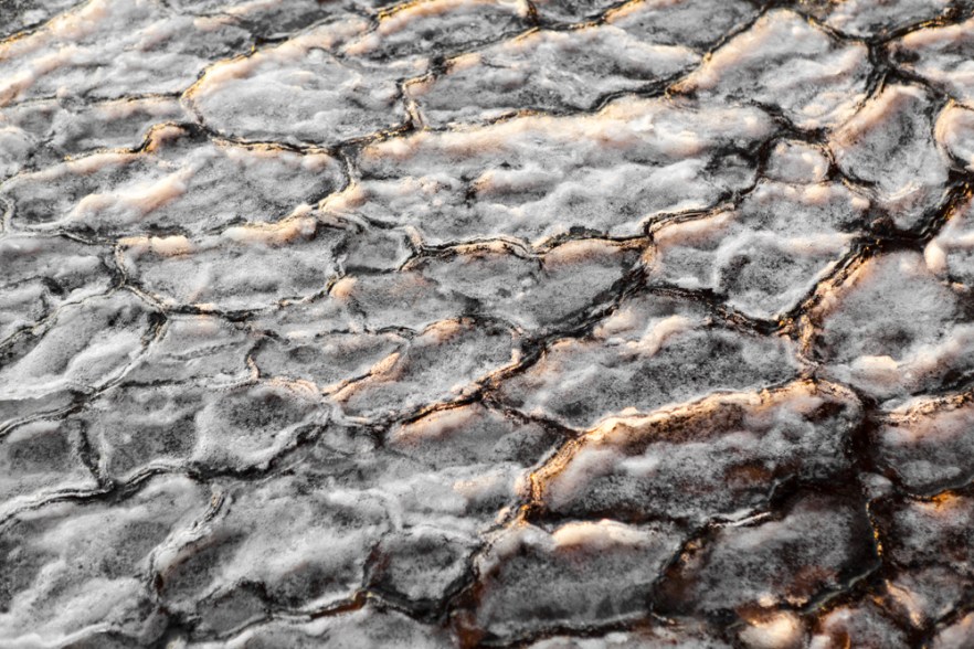 2015_12_MysyICE-1008