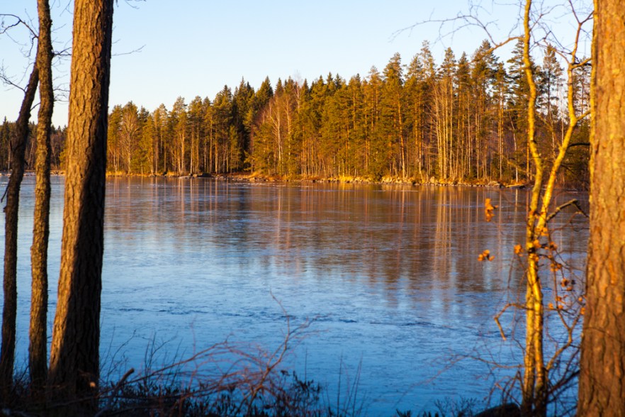 2015_12_MysyICE-1021