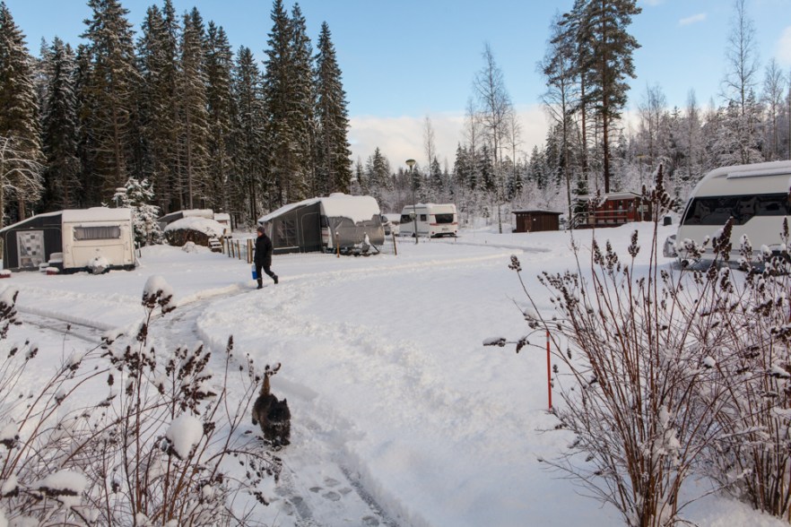 20160114_Talavee-104