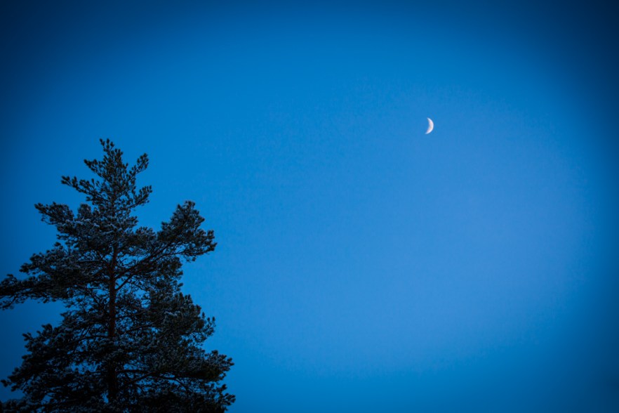 20160114_Talavee-106