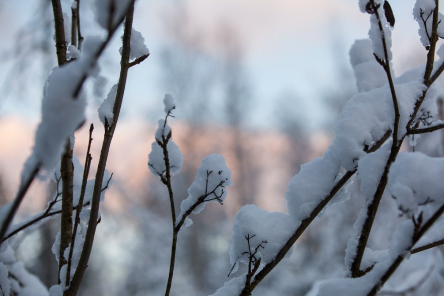 20160114_Talavee-107