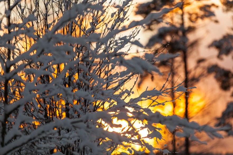 20160114_Talavee-110