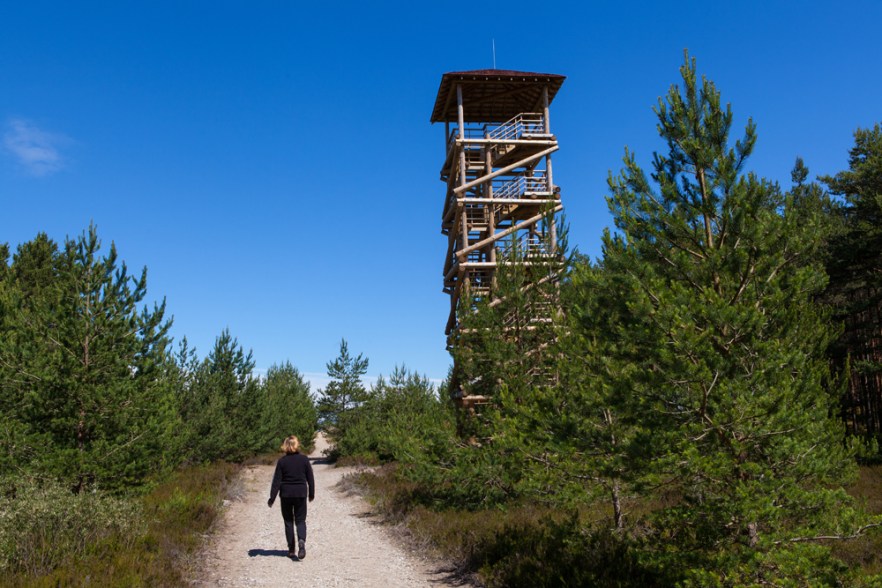 20140624_cKOLKA-1041