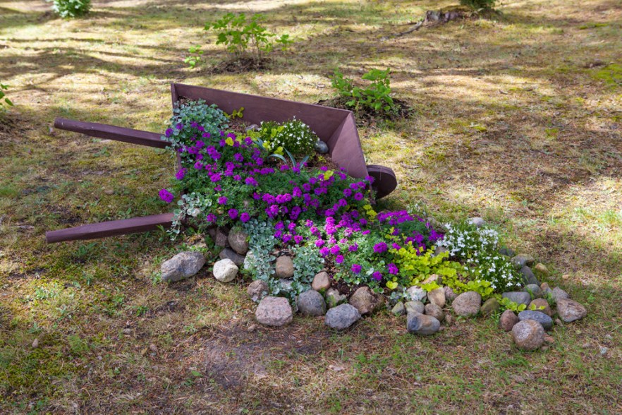 20140624_dAbragc-1066