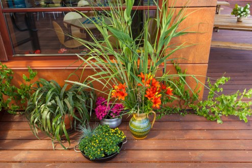 20140624_dAbragc-1067