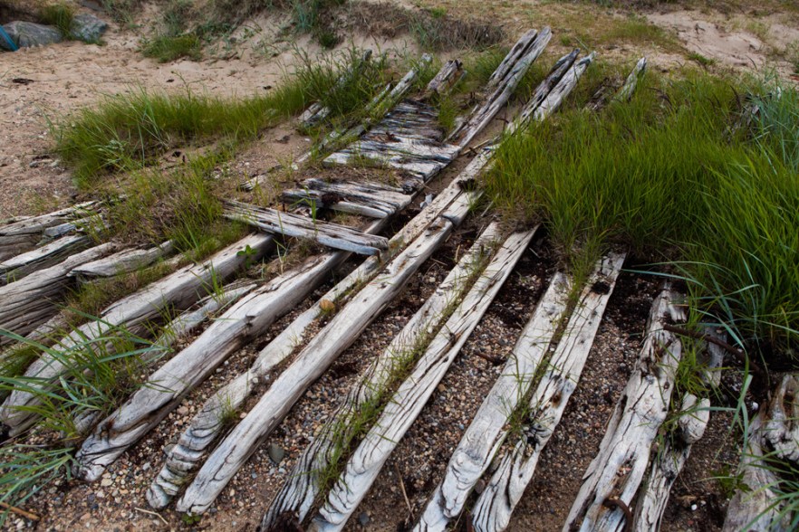 20140624_dAbragc-1078