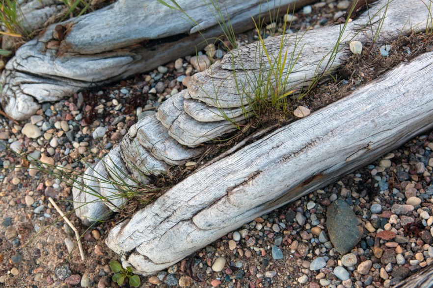 20140624_dAbragc-1090