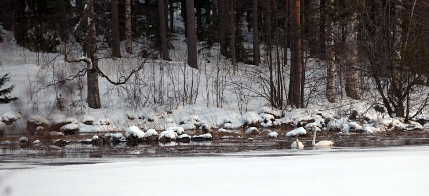 MylTalko_20160227-101-2