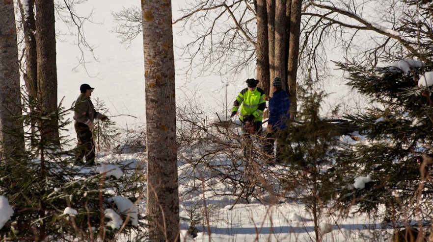 MylTalko_20160227-111