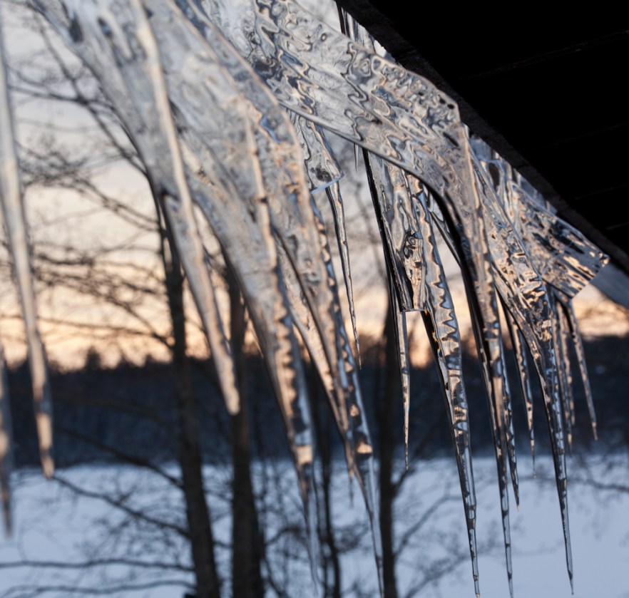 MylTalko_20160227-123