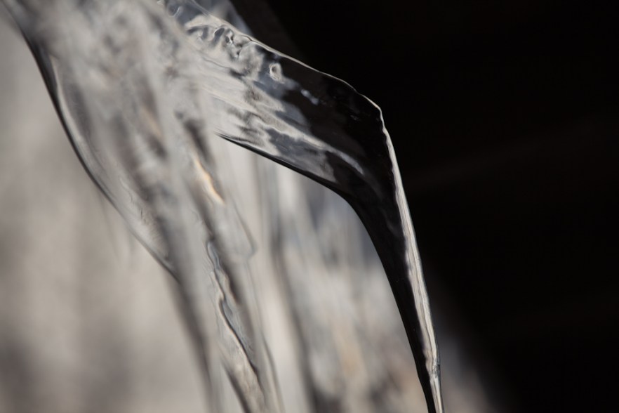 MylTalko_20160227-124