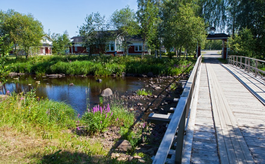 20140722_Kielosaari-1036.jpg