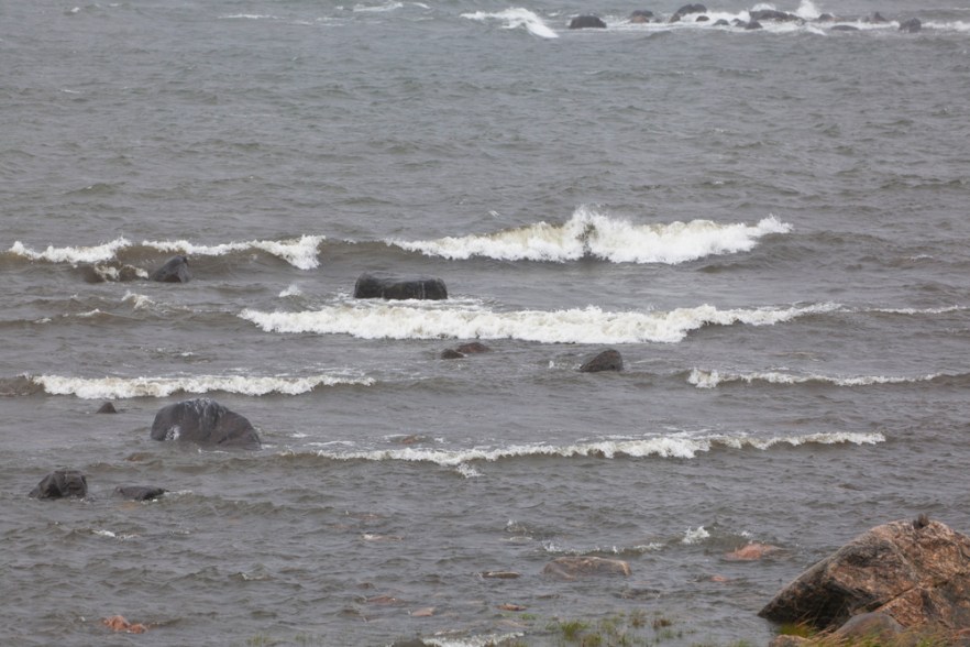 20120723A_Pyharanta_ (1289).jpg