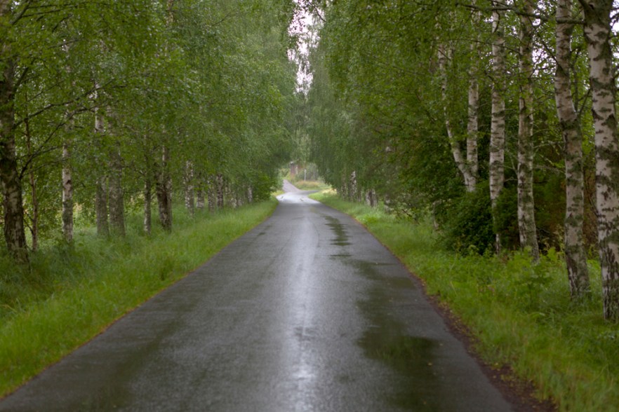 20120723A_Pyharanta_ (1295).jpg