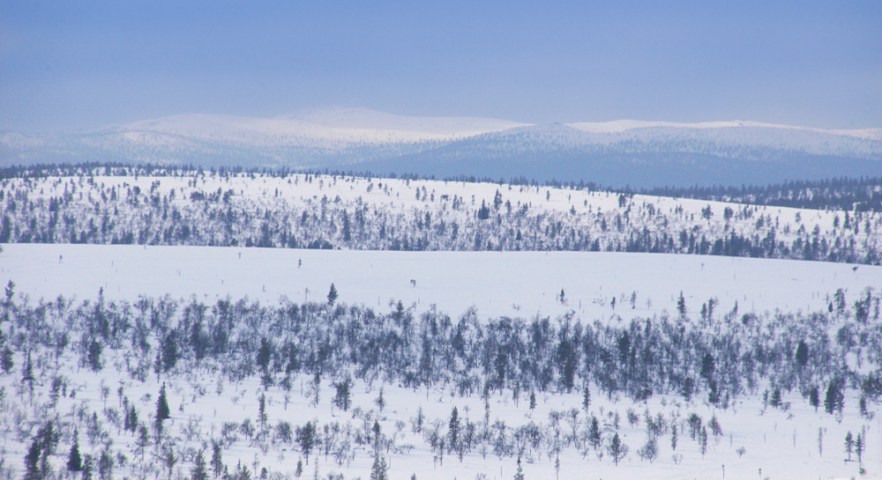 20100422b_LAPPI_Salla_Ivalo_ (1462).JPG