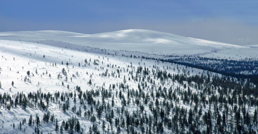 20100423_LAPPI_Saariselkä_ (1585).JPG