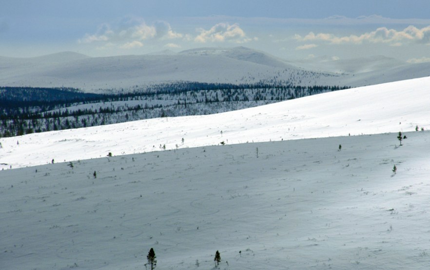 20100423_LAPPI_Saariselkä_ (1586).JPG