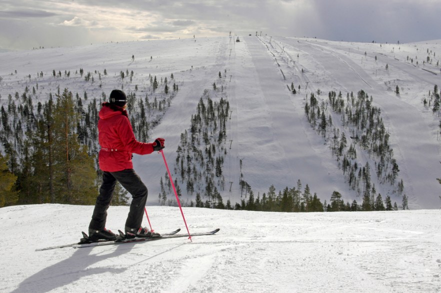 20100423_LAPPI_Saariselkä_ (1603).JPG