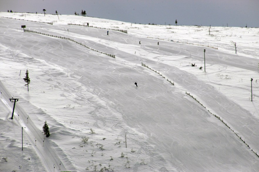 20100423_LAPPI_Saariselkä_ (1606).JPG