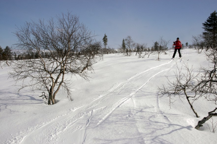 20100424a_LAPPI_Kiilopaa_ (1999).JPG