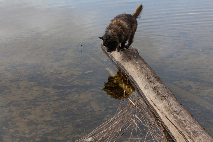 20170419_Myl_Paas-130