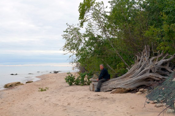 20120811_E_Saka_ (1522).jpg