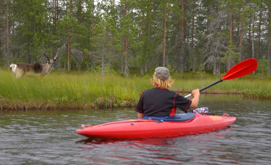 20100731a_LivojarviMelo_ (1706).jpg