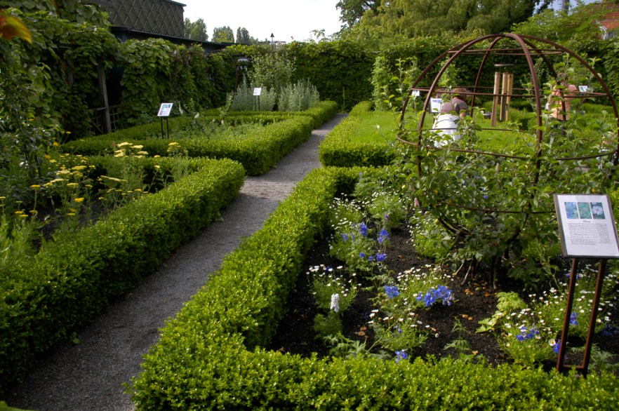 0013_080709_Kivik_SWE_ (2869).JPG