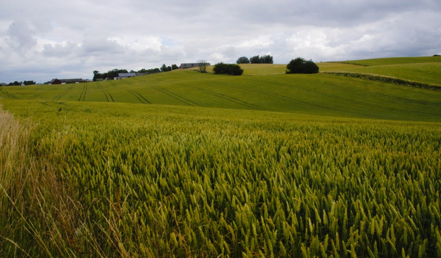 0016_100709_Skone_SWE_ (3265).jpg