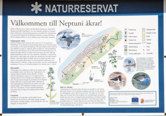 008-050709_1Neptuni_SWE_ (1676).jpg