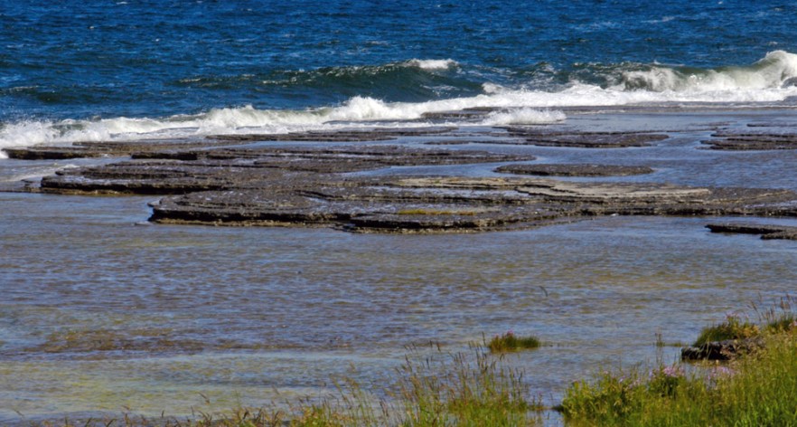 008-050709_1Neptuni_SWE_ (1682).jpg