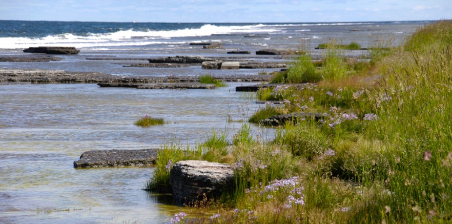 008-050709_1Neptuni_SWE_ (1690).jpg