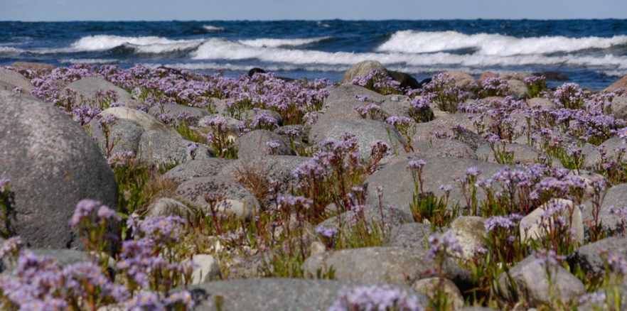 008-050709_2LongeErik_SWE_ (1750).jpg