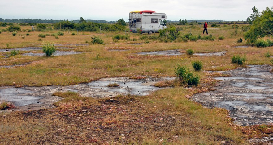 009-4-060709_ALVAR_SWE_ (2207).JPG