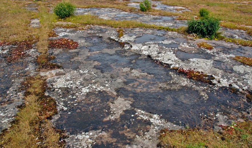 009-4-060709_ALVAR_SWE_ (2212).JPG