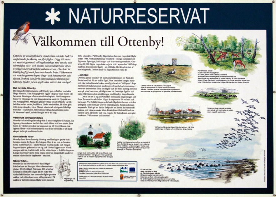 009-5-060709_LongeJohn_ (2304).jpg