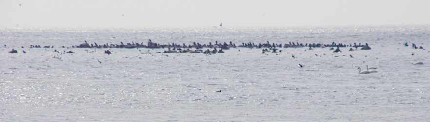 009-5-060709_LongeJohn_ (2314).jpg