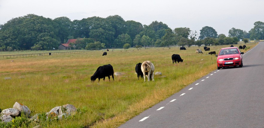 009-5-060709_LongeJohn_ (2363).JPG