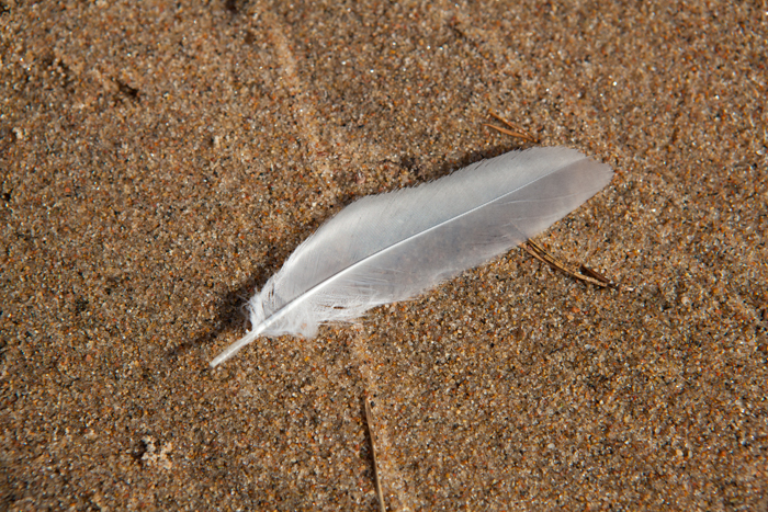 20110727_a_Manamansalo_ (1702).jpg