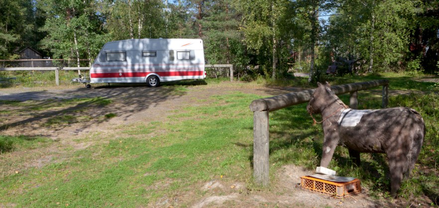 20120819_ZooCarav_ (1207).jpg