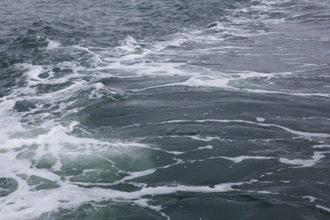 110620E_Vardo_ (1431).jpg