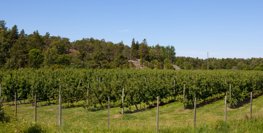 110627L_Geta_ (2749).jpg