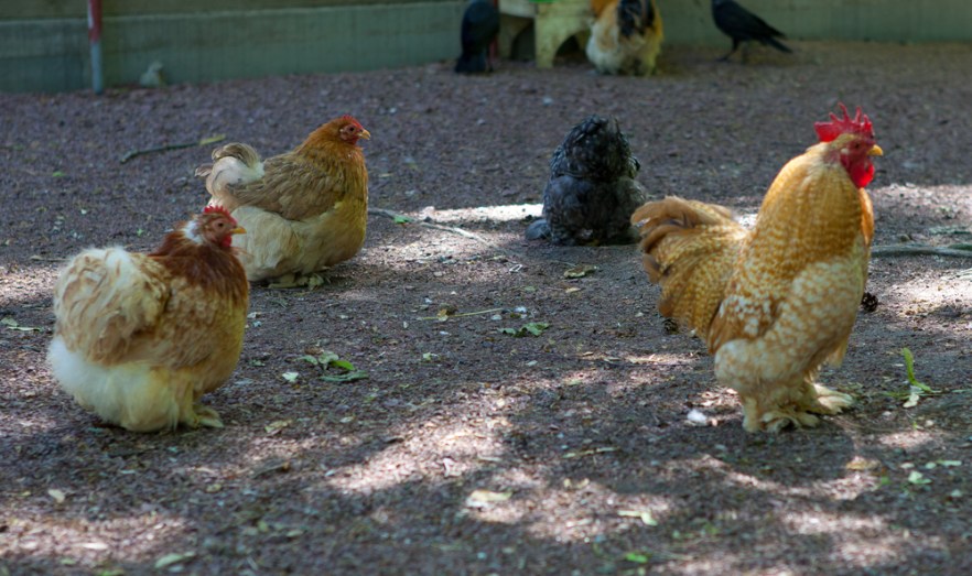 110627N_Maarianh_ (2855).jpg